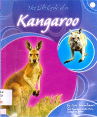 The Life Cycle Of A Kangaroo