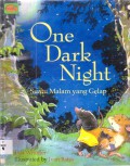 Suatu Malam Yang Gelap