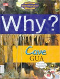 Science Comic : Why? Cave (Gua)