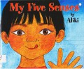 My Five Senses