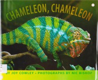 Chameleon, Chameleon