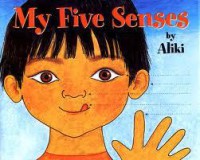 (Big Book) My Five Senses