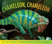 (Big Book) Chameleon, Chameleon