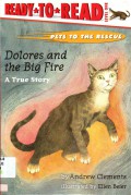 Ready To Read Lv 1 : Dolores And The Big Fire (Pets To The Rescue)