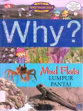 Science Comic : Why? Mud Flats (Lumpur Pantai)