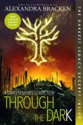 A Darkest Minds Collection : Through The Dark