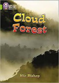 Cloud Forest