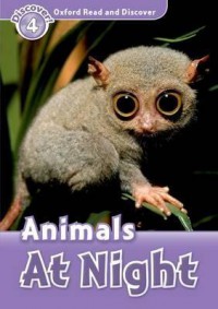 Animals At Night - Discover 4