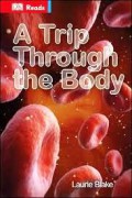 A Trip Through The Body