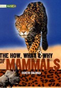 The How, What & Why Of Mamalls
