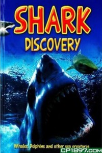 Shark Discovery