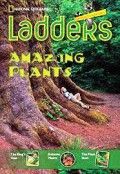 Ladders : Amazing Plants