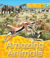 Amazing Animals