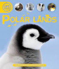 Polar Lands