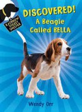 A Rainbow Street Shelter : Discovered! A Beagle Called Bella