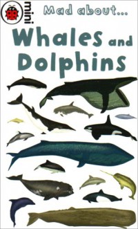 Whales And Dolphins