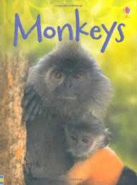 Monkeys