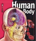 Human Body : Insiders