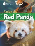 Farley The Red Panda