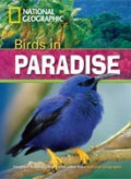 Birds In Paradise