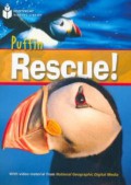 Puffin Rescue!