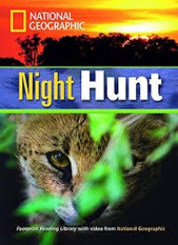 Night Hunt