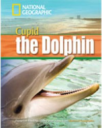 Cupid The Dolphin