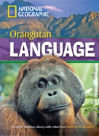 Orangutan Language