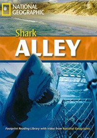 Shark Alley