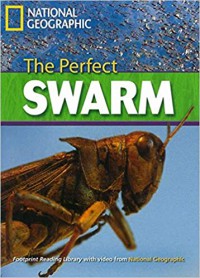 The Perfect Swarm