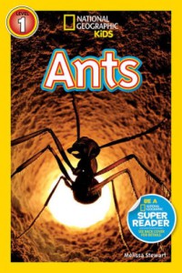 Ants (National Geographic Kids Level 1)