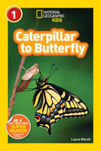 Caterpillar To Butterfly (National Geographic Level 1)