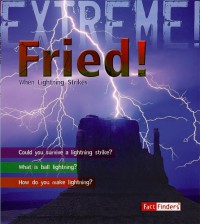 Fried! : When Lighting Strikes