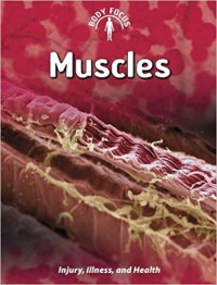 Muscles : Injury, Illness, And Health (Body Focus)