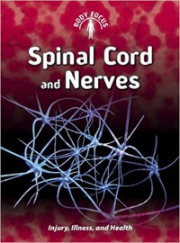 Spinal Cord And Nerves : Injury, Illness, And Health (Body Focus)