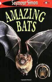 Amazing Bats