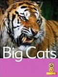 Big Cats