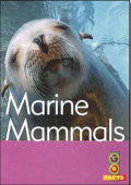 Marine Mamals