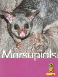 Marsupials