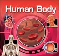 Human Body