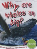 Why Are Whales So Big?