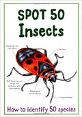 Spot 50 Insects