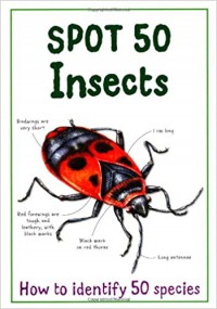 Spot 50 Insects