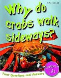 Why Do Crabs Walk Sideways? (Seashore Life)