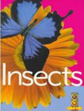 Insects