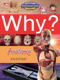 Why? Anatomy Anatomi