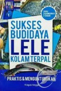 Sukses Budidaya Lele Kolam Terpal