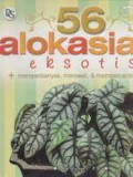 56 Alokasia Eksotik