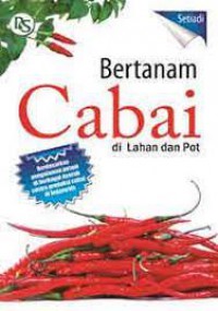 Bertanam Cabai Di Lahan Dan Pot