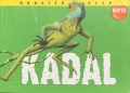 Monster Alam Reptil : Kadal